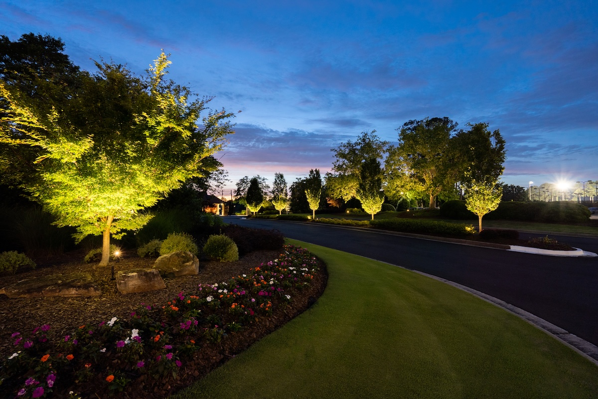 commercial landscape entrance lighting