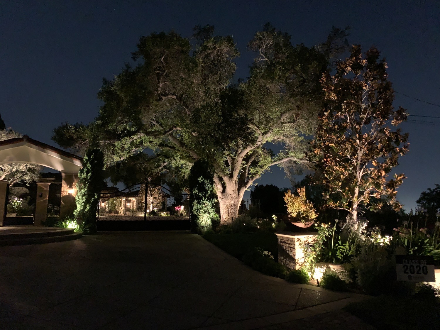 landscape lighting on an oak tree in wheaton illinois