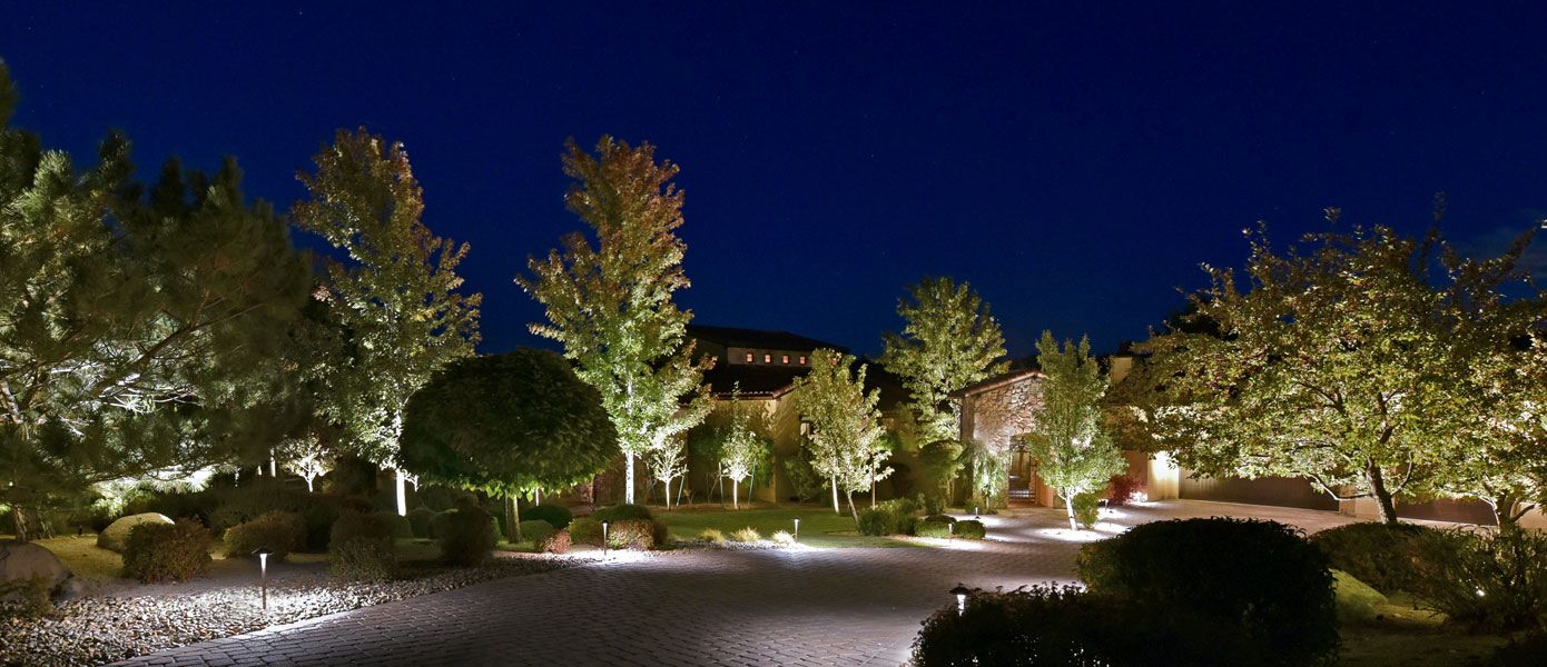 residential house landscaping illuminated at night by outdoor lighting