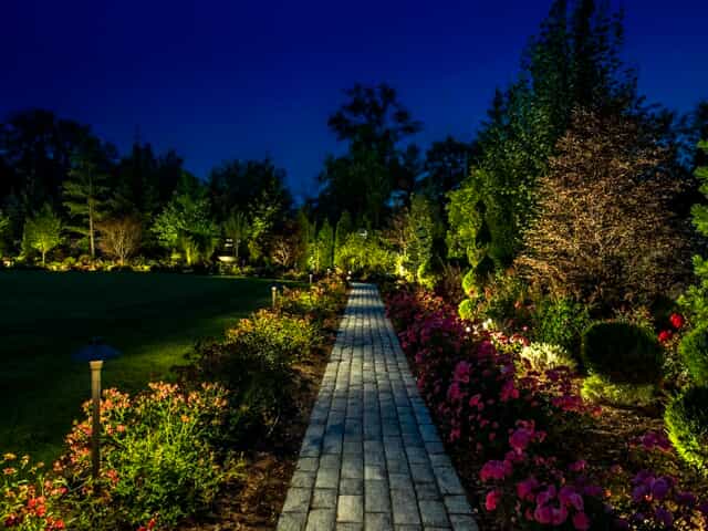 backyard pathway with nighttime uplights
