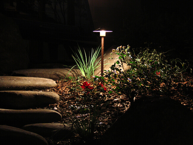 Night light on the plants