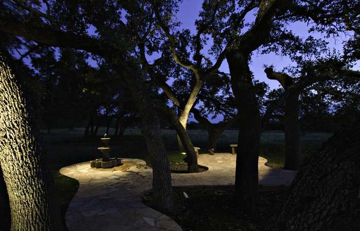 Pathway with trees and outdoor lighting
