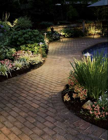 Pathway with pond and outdoor lights