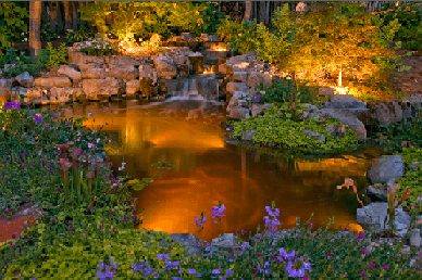 Pond with waterfall and lighting