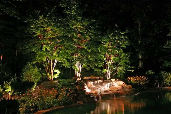 Pool area with plants, waterfall and outdoor lighting
