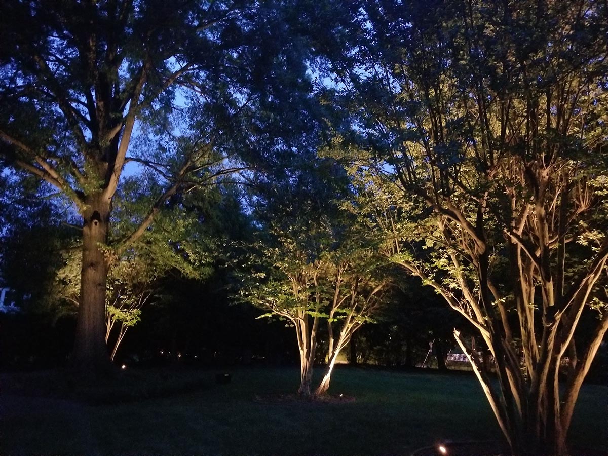 low voltage up lighting on trees