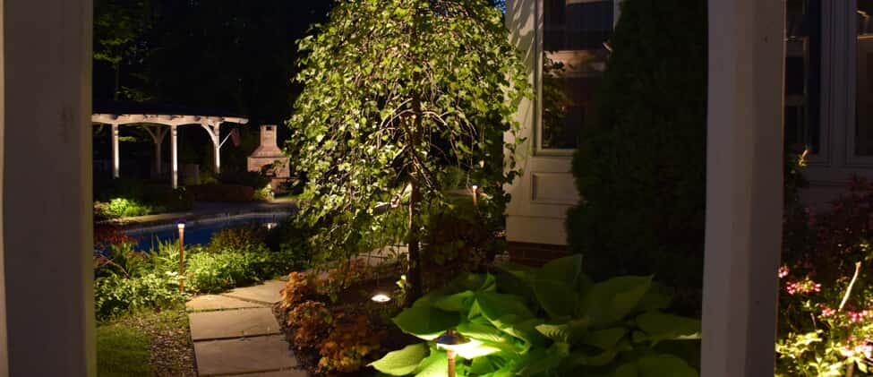 Residential back yard walkway with lighting and plants that have illumination 