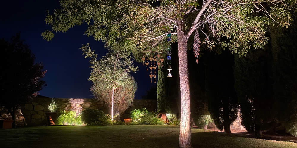 You can have too much landscape lighting.