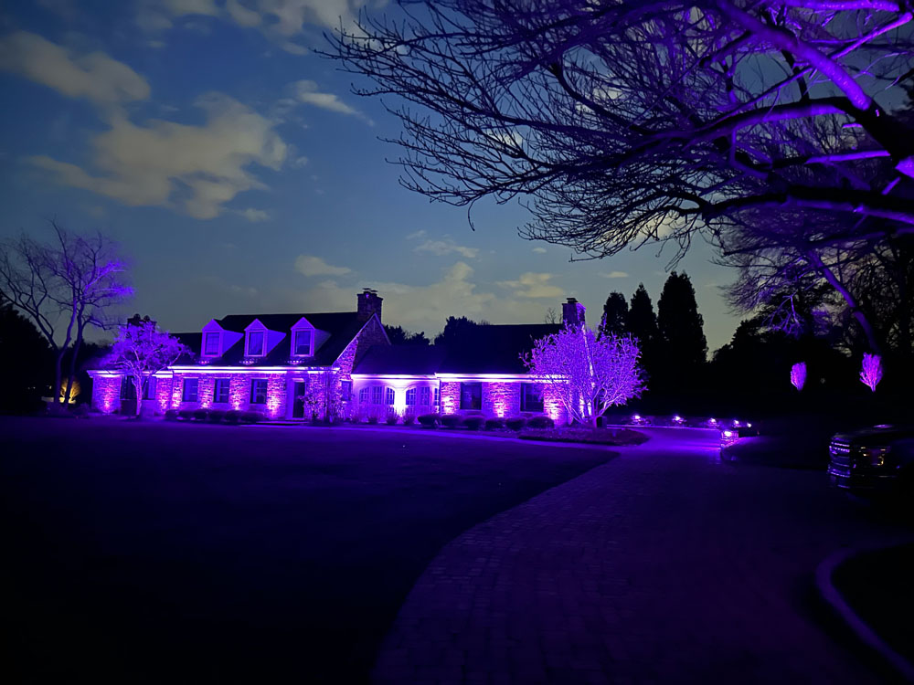 multi-color outdoor landscape lights