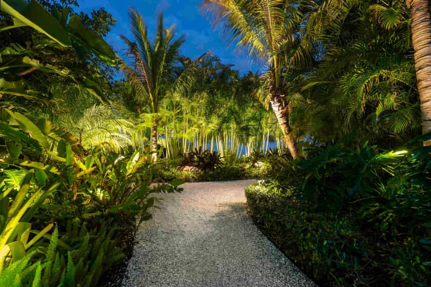 Palm Trees in Landscape Lighting