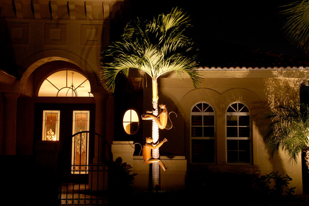 House and Tree Lighting