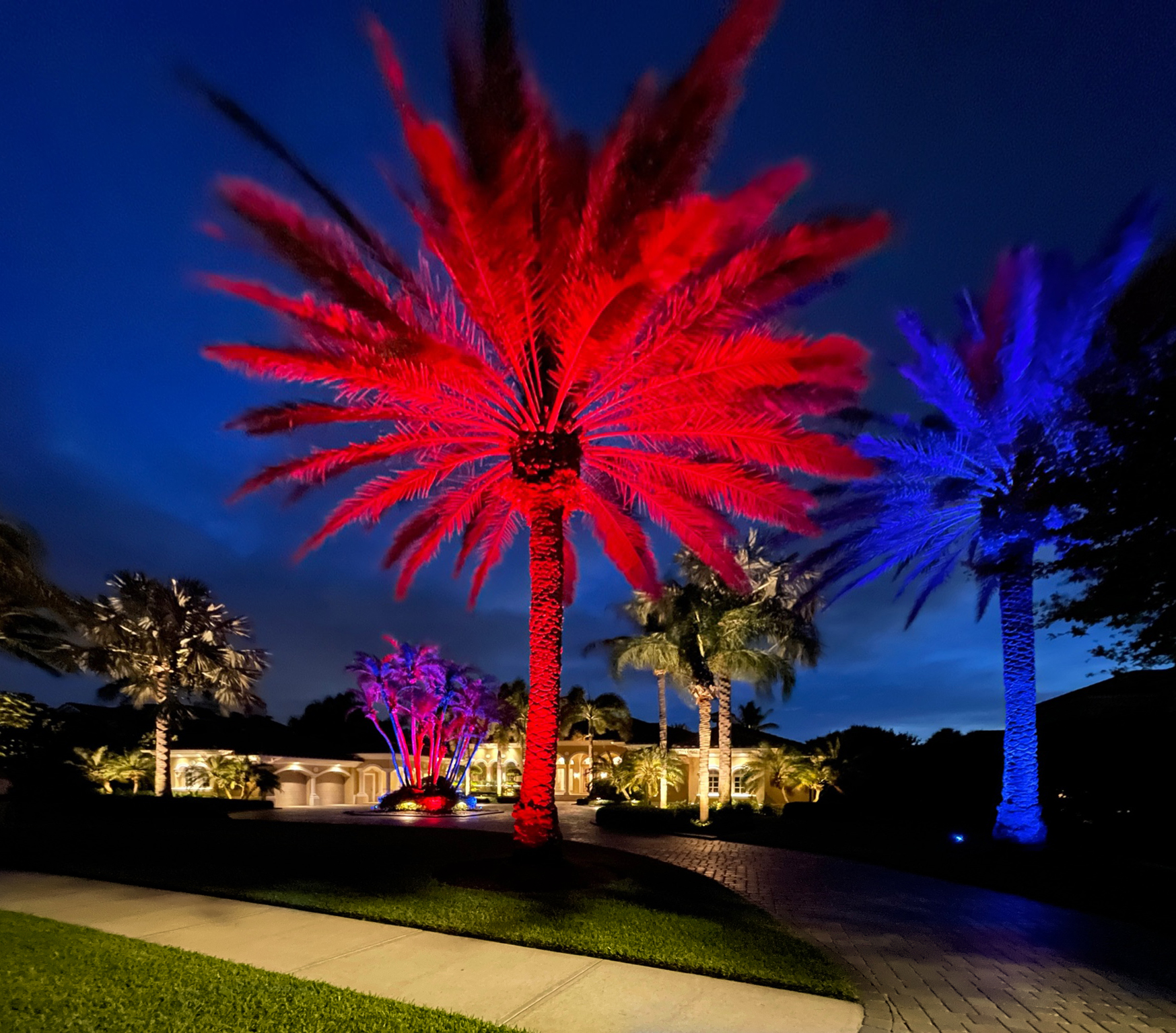 custom palm tree lighting in Estero, FL