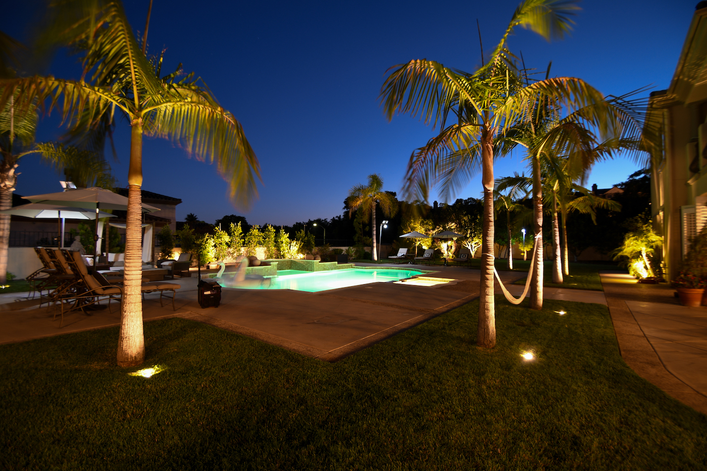palm tree lighting marco island naples florida