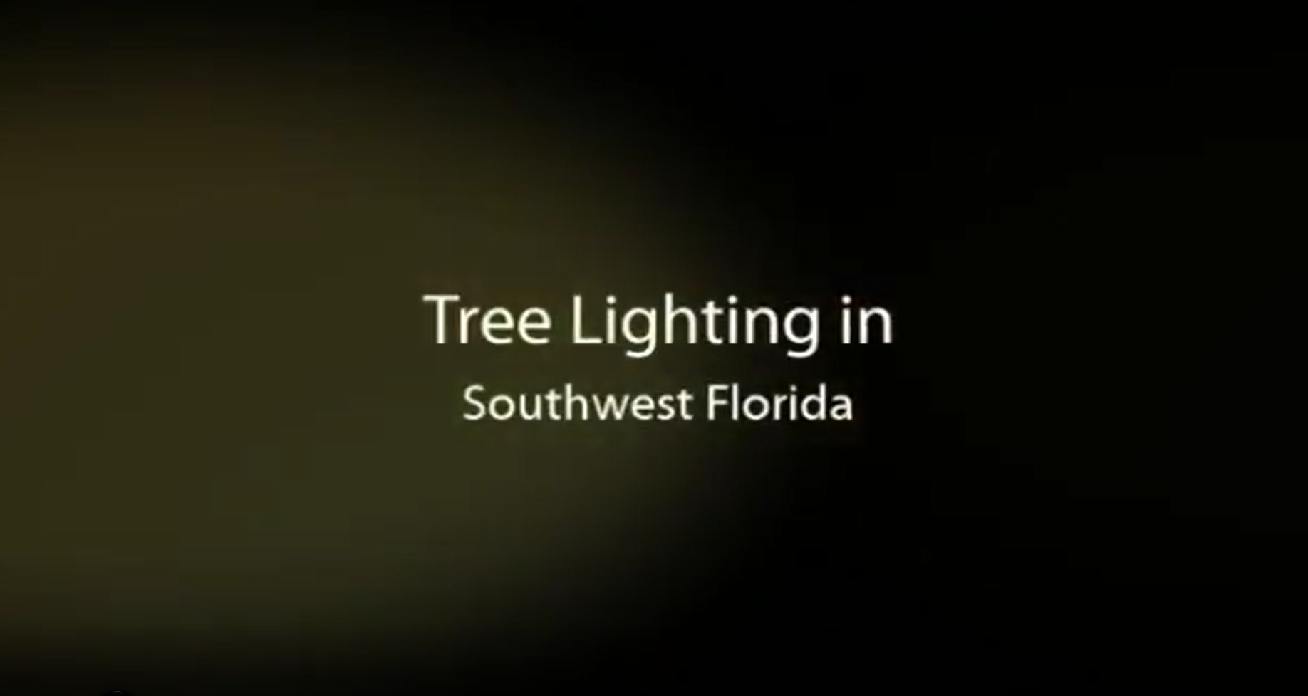 Outdoor Tree Lighting Creates Comfortable Surroundings in Southwest
