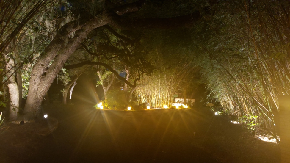 path and tree lighting in backyard