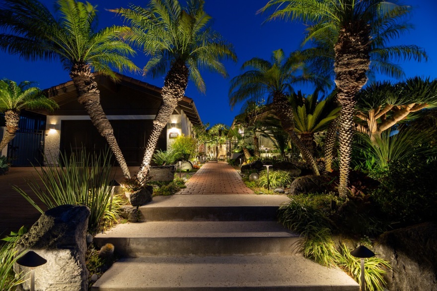 lit pathway with palm trees