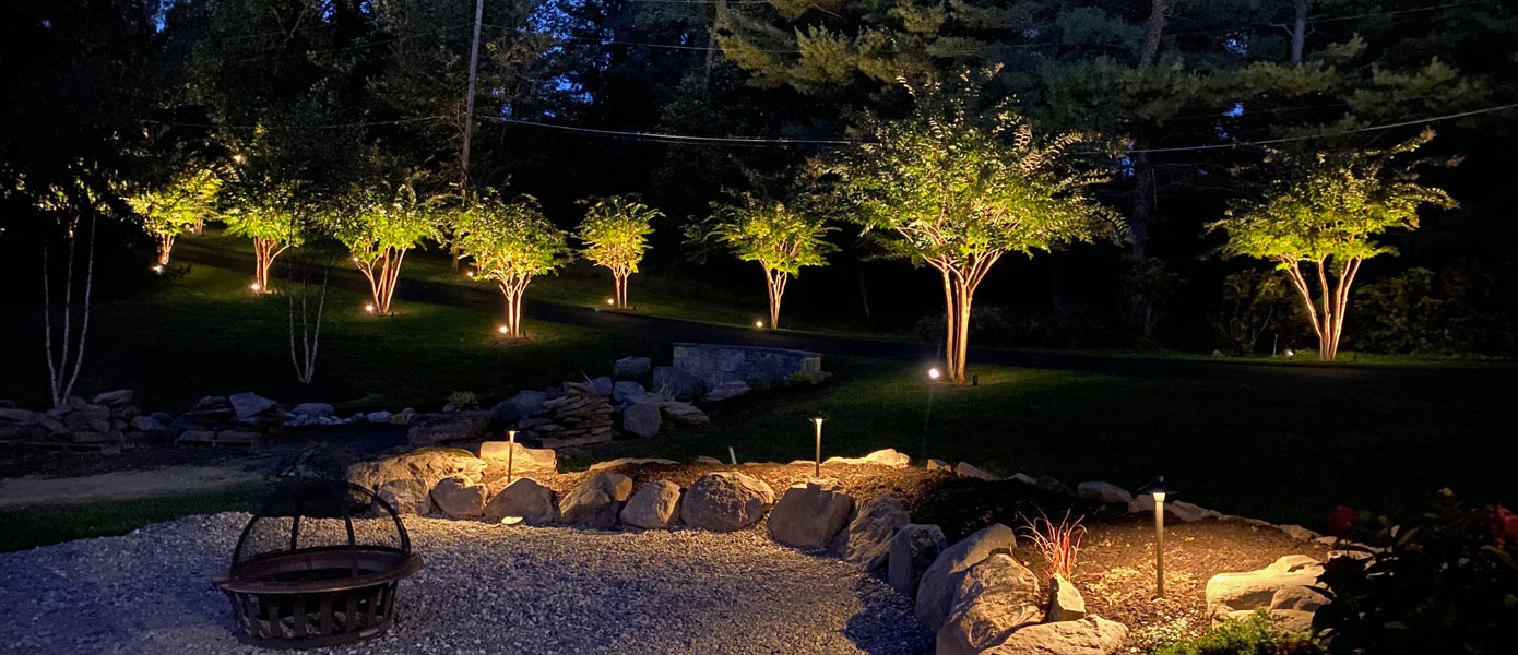 Row of trees lit with outdoor lighting