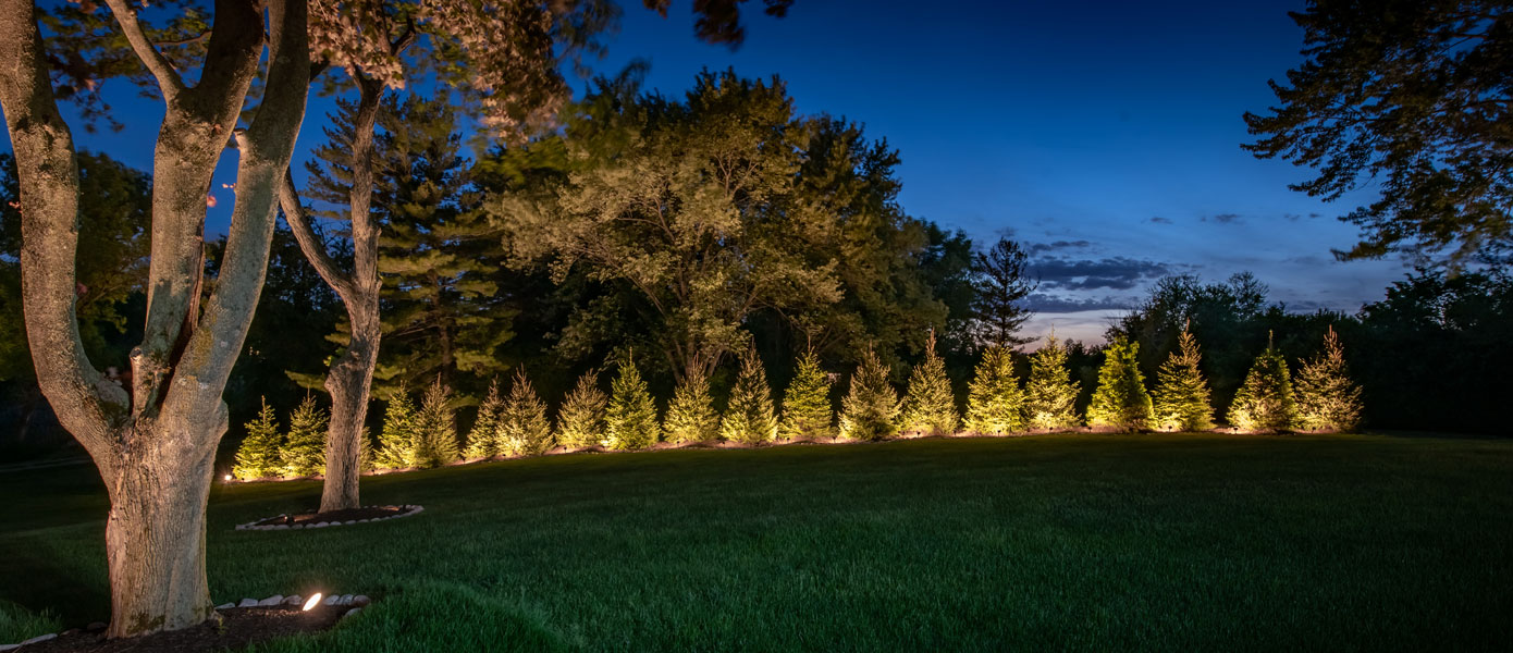 landscape lighting with pine trees