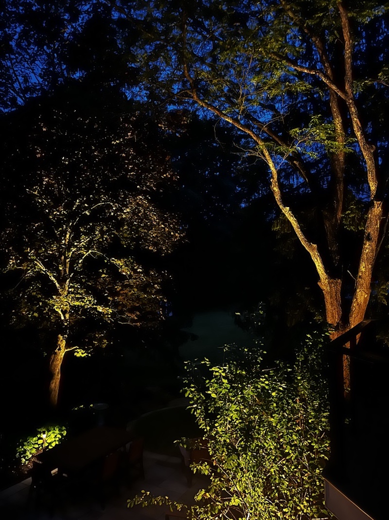 Landscape Lighting on Trees at Night in Hudson OH