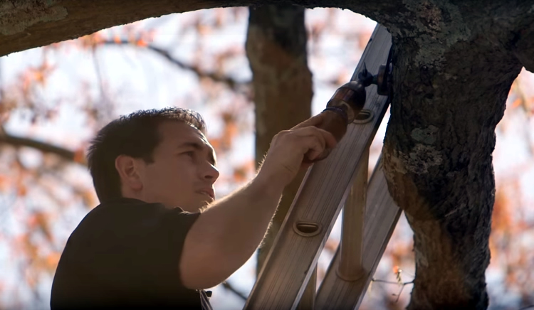 man repairing tree lighting 
