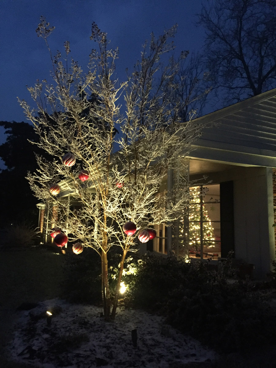 Ornaments on a tree outside