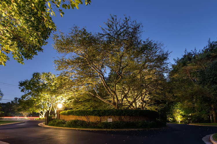 residential community tree planter with lighting