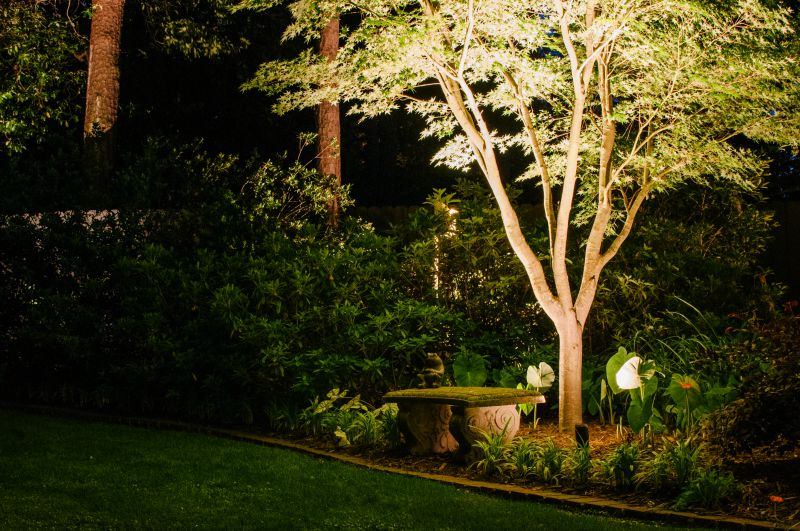 kirkland outdoor tree lighting