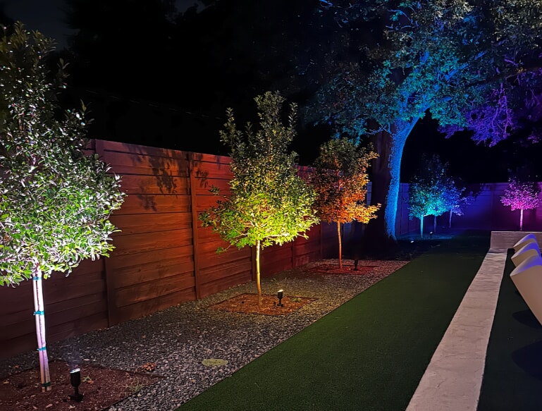 A row of trees with lights on