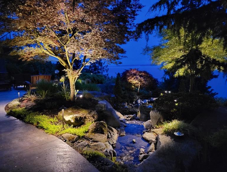 A walkway with trees and lights at night