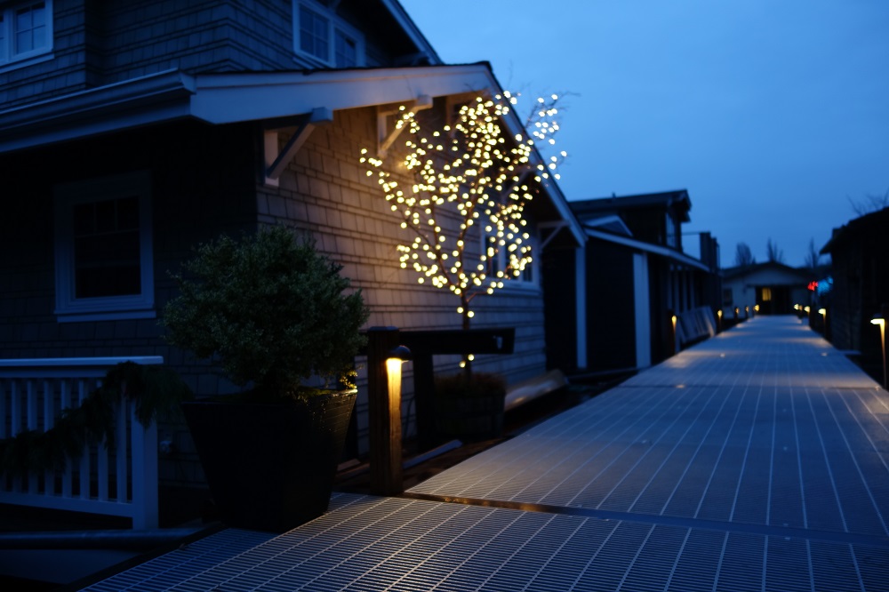 tree lighting on house boat dock