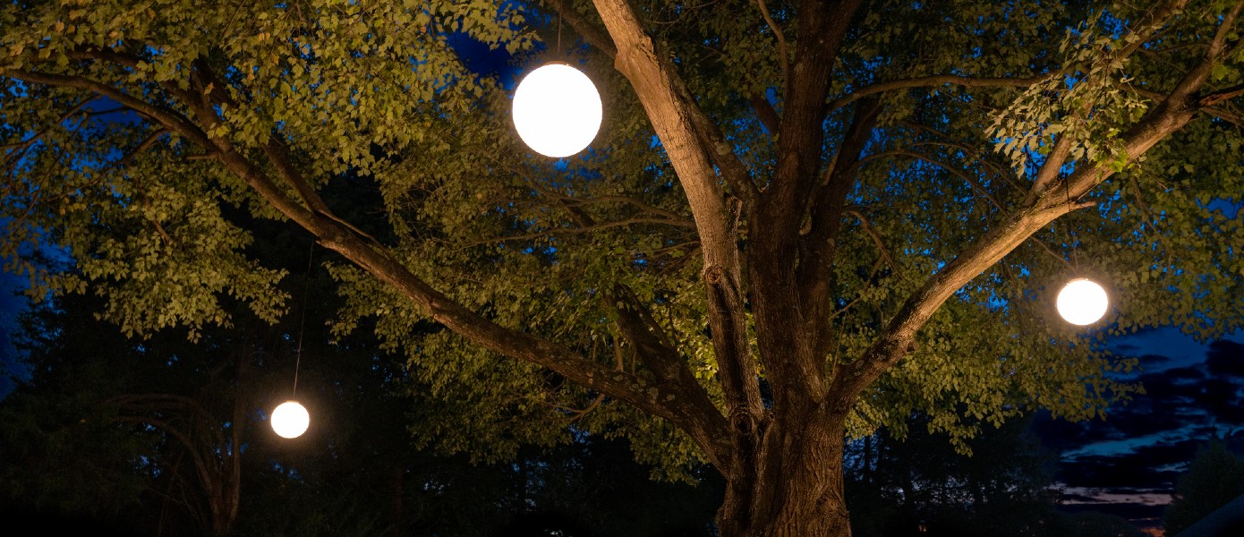 sphere lighting in tree