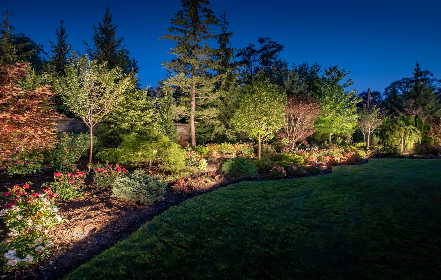 landscape lighting