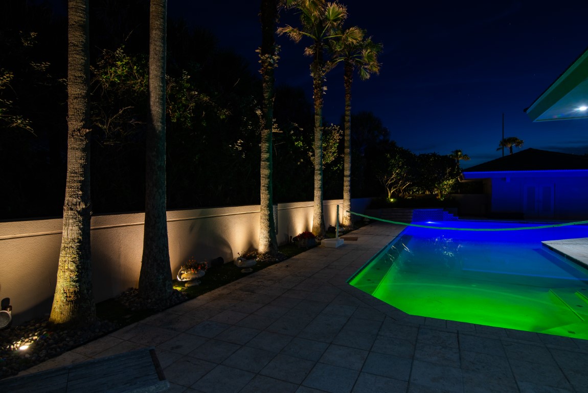 palm tree and pool lighting 