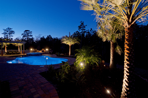 Pool surrounded by palm trees uplit by Jacksonville LED lighting at sunset 