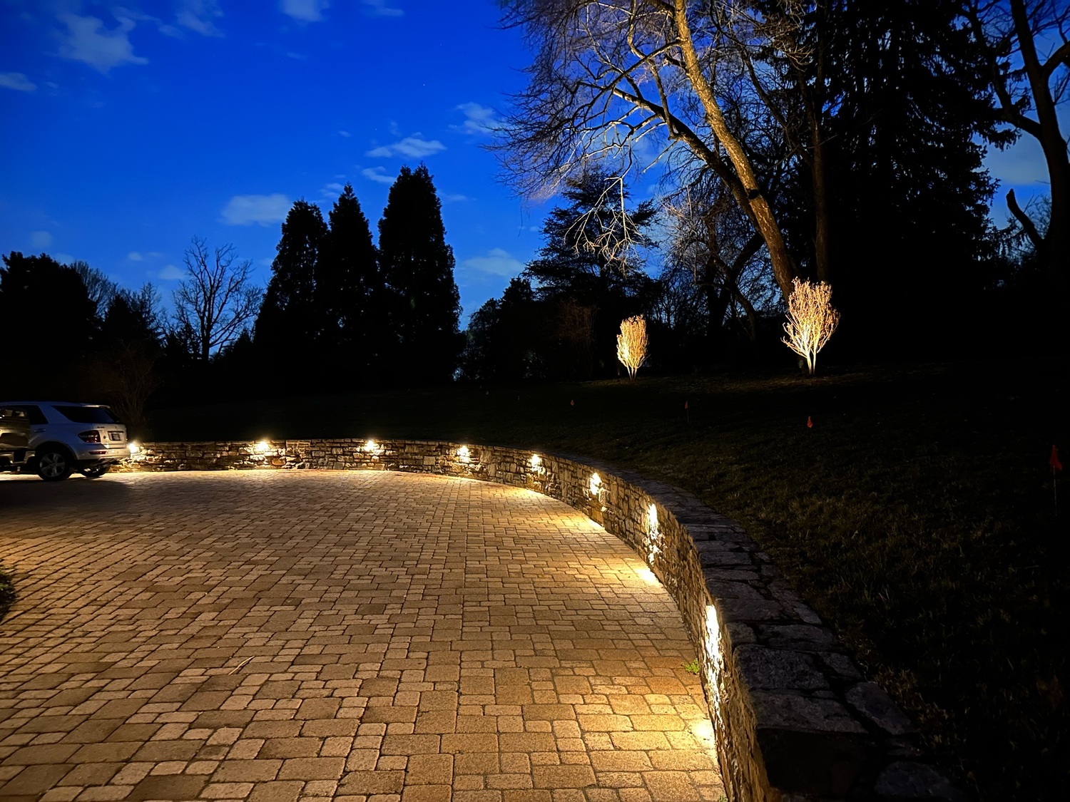 Soft Color Changing Lighting on Driveway