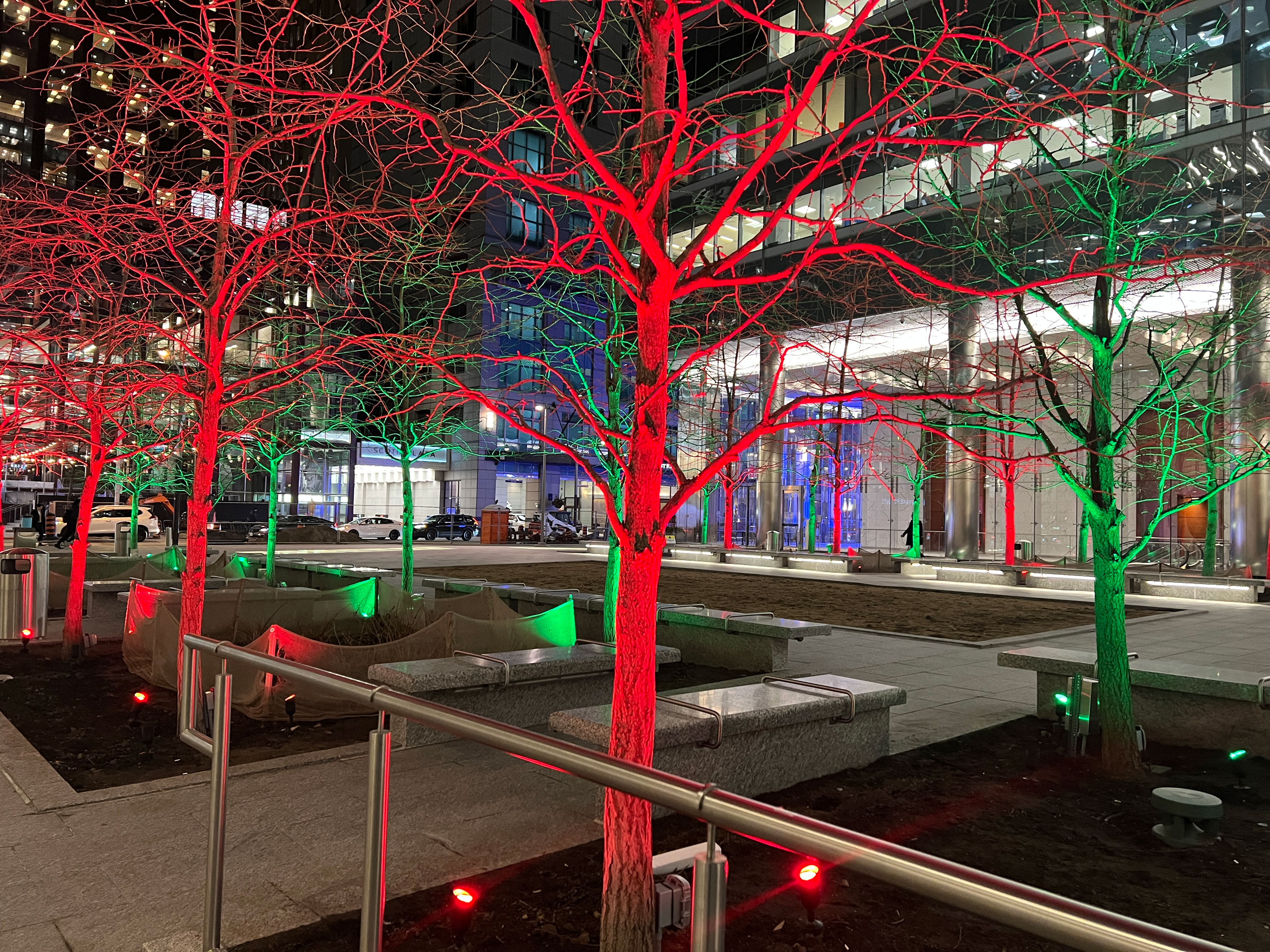 central area with trees lit up green and red