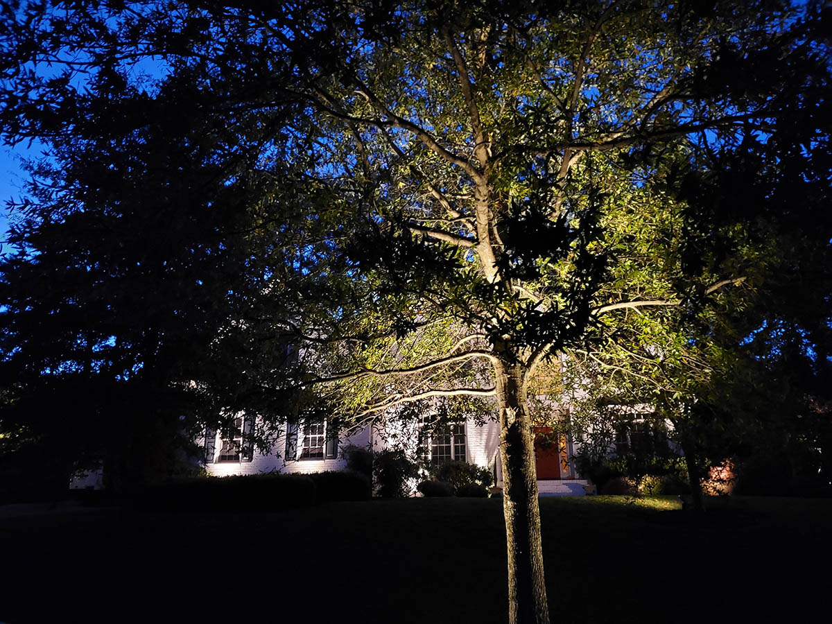 Low Voltage Landscape Lighting  Outdoor Lighting Perspectives of Richmond  & Charlottesville