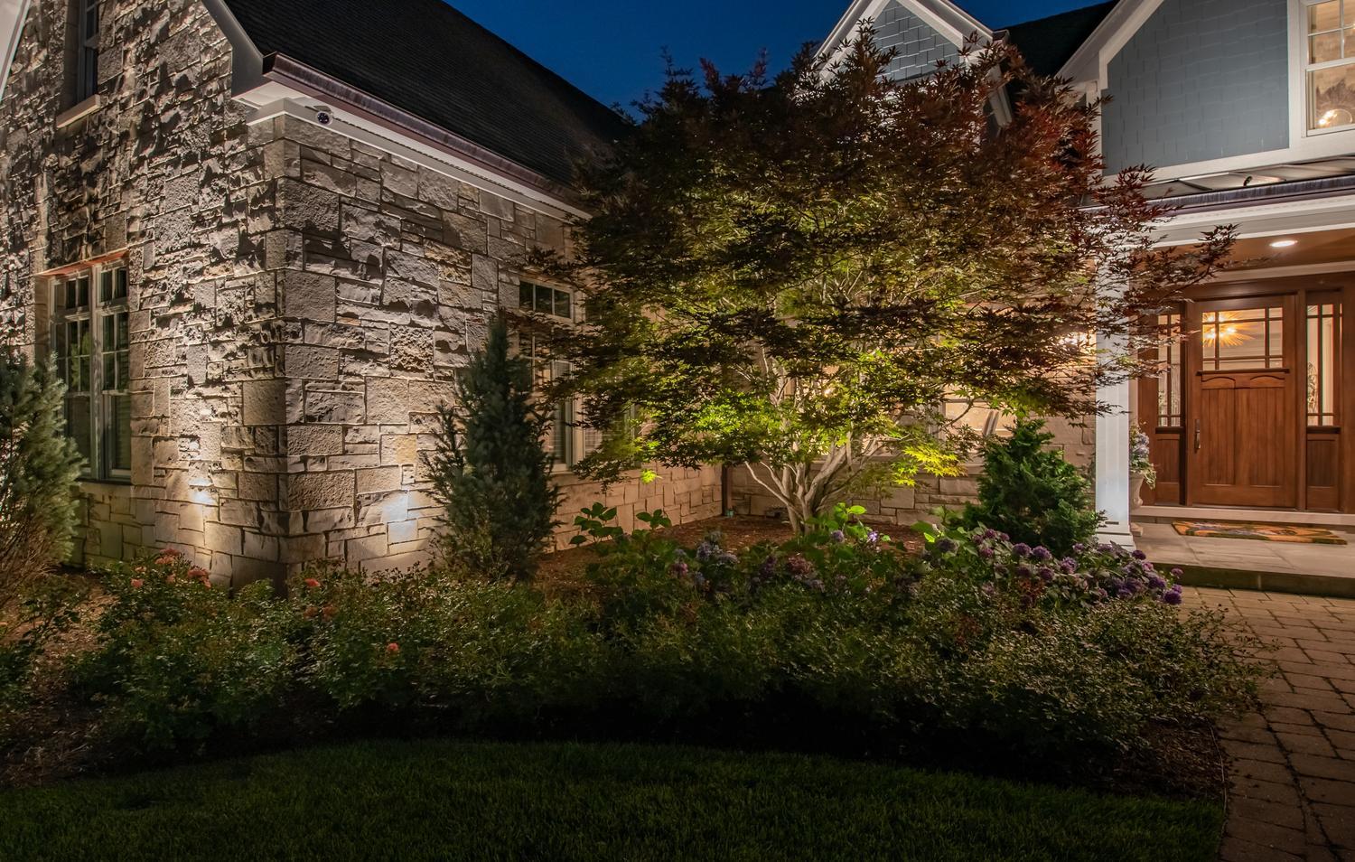 plant bed and tree landscape lighting richmond va