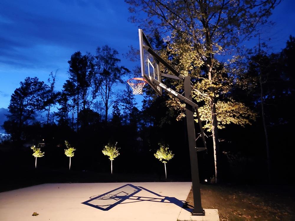 Backyard Landscape and Basketball Court Lighting