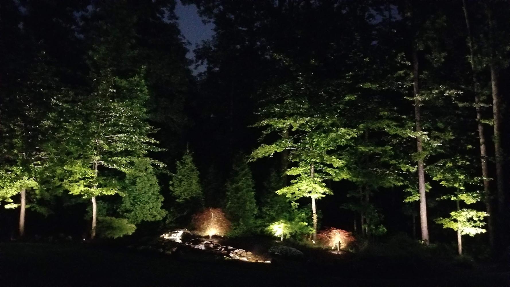 up-lighting landscape lighting on trees