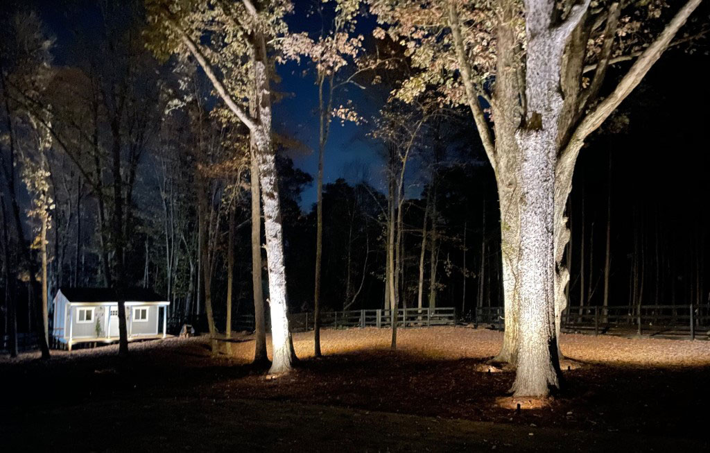 white oak tree lighting and outdoor downlighting