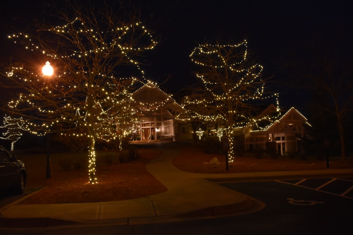 Tree Wrap Christmas Lighting