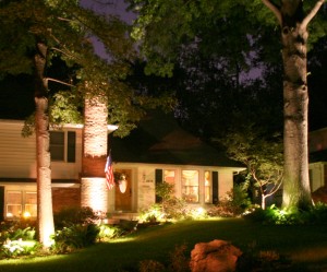 Beautiful backyard lighting