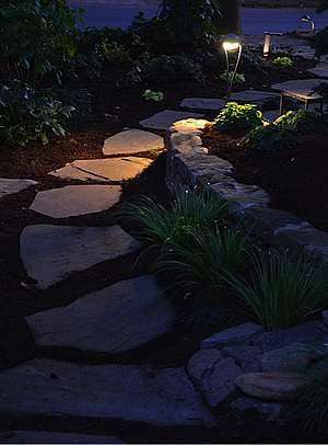 landscape lighting illuminating stone pathway