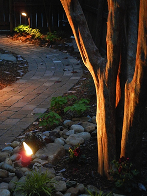 dog safety landscape lighting