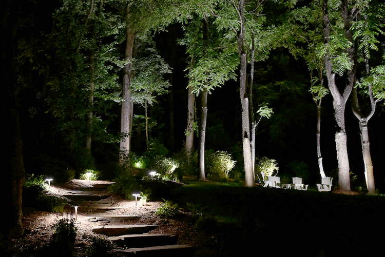outdoor tree and bush lighting and pathway lighting on steps
