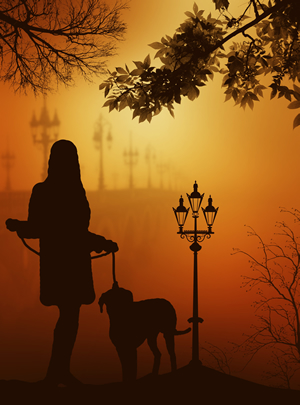 Silhouette of Woman Walking Her Dog