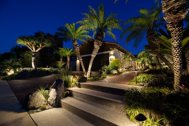 walkway with lighting and palm trees