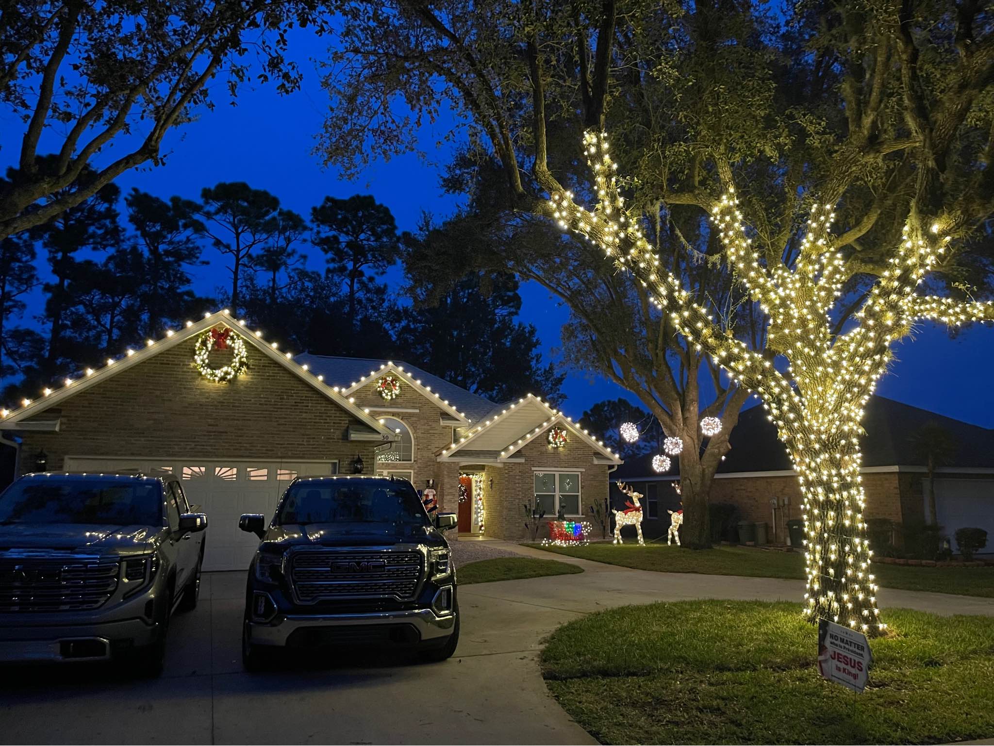 house with roof lights and tree lights