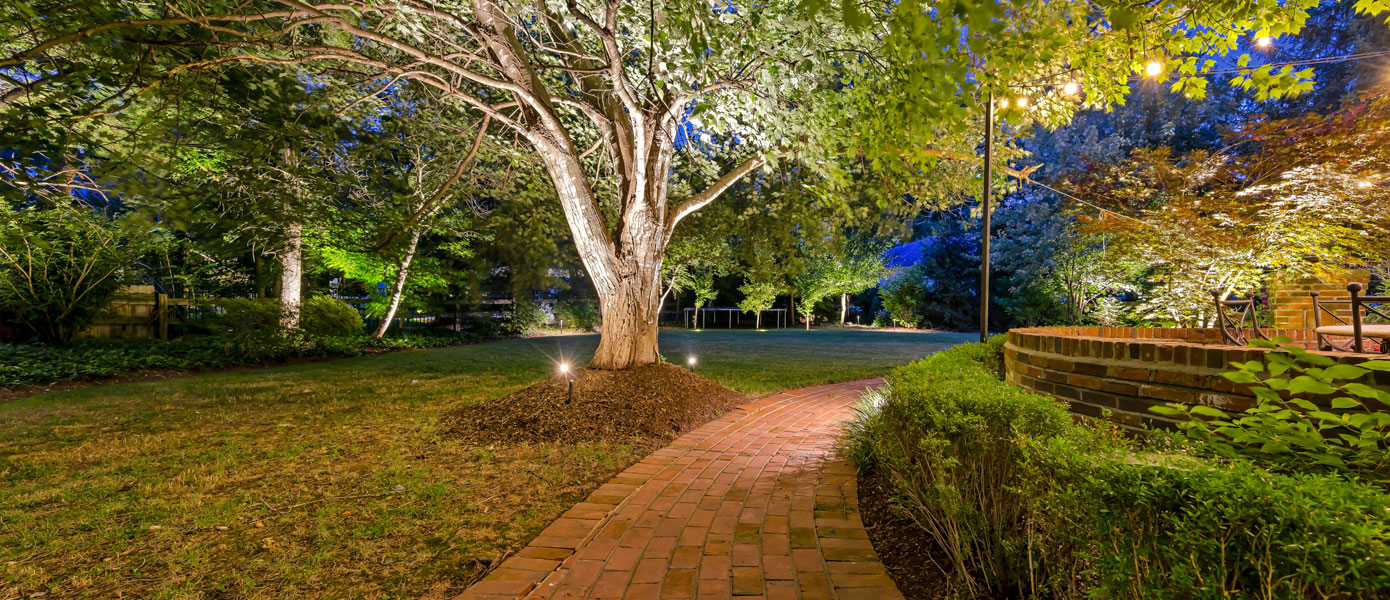 A path with lights on it and a tree in the middleDescription automatically generated